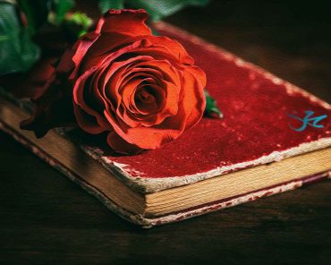 Hz.Muhammed’in (sav) Hadislerinin ve Sünnetinin Önemi